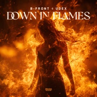 Down in Flames - Single - B-Front & Udex