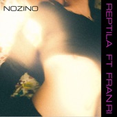 Nozino (feat. Fran Ri) artwork