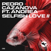 Selfish Love II (feat. Andrea) [Dj Freespirit Alternative Remix] artwork
