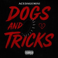 Dogs and Tricks - Single - AceDaGemini