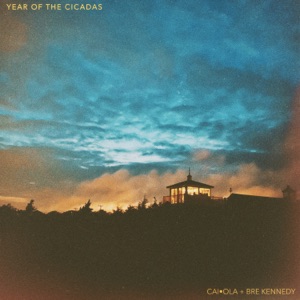 Year of the Cicadas/Blood Bank - Single