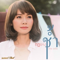 กฎแห่งช้ำ - Single - ต่าย อรทัย