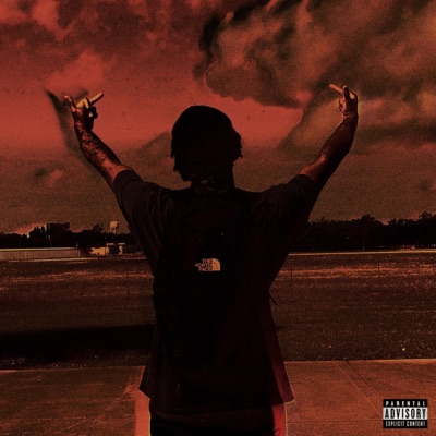 MIDDLE FINGERS UP - Single