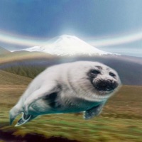 revival - Single - vairrin