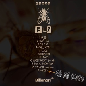 Outro Fly Disc