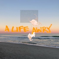 a life awry - Beven Stary