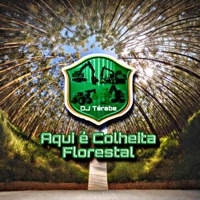 Aqui é Colheita Florestal - Single - DJ Térabe