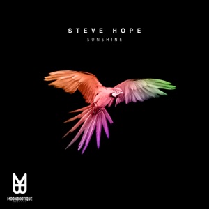 Sunshine - Single