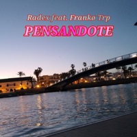 Pensandote (feat. FRANKO TRP) - Single - Radex