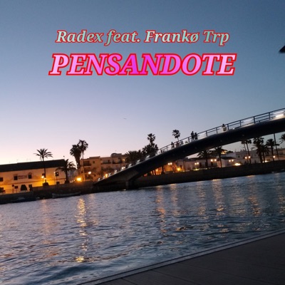 Pensandote (feat. FRANKO TRP) - Single