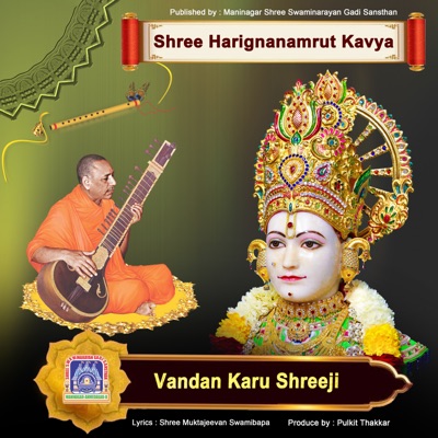 Vandan Karu Shreeji - Single