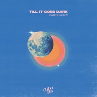 Till It Goes Dark - Single - TIANBO & Dallien