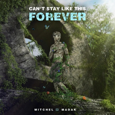 Can't Stay Like This Forever - Single