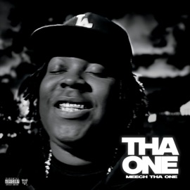 Sky Is The Limit (feat. King Ant & Striikee) Meech Tha One