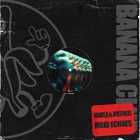 Mind Echoes - Single - Xwile & NVTHEC