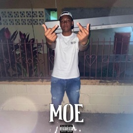 MOE Da1Meno