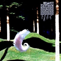 WEGETHI - Single - Misplaced