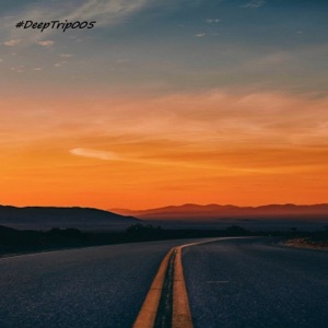 DeepTrip005 (DJ Mix)