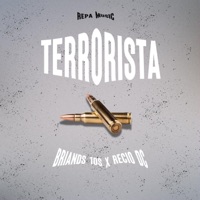 Terrorista (feat. Briands 10s) - Single - Repa Music