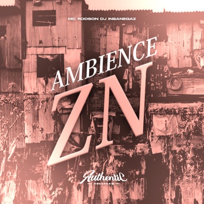 Ambience Zn (feat. Mc Rodson) - Single