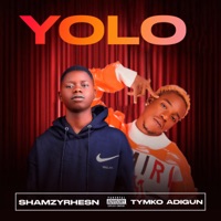 Yolo (feat. Tymko Adigun) - Single - Shamzyrhesn