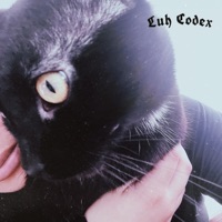 Black Cat Shawty - Single - Luh Codex