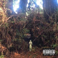 Flight 2 Cali - Single - BVNDO