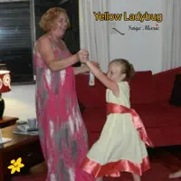 Yellow Ladybug