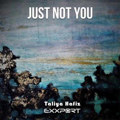 Just Not You (Exxport Remake) - Single