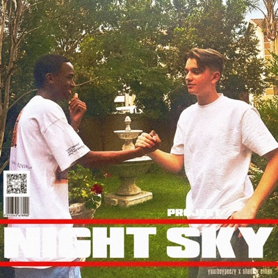 Project Night Sky - Single