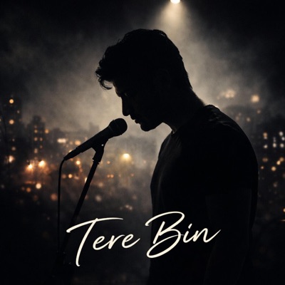 Tere Bin - Single