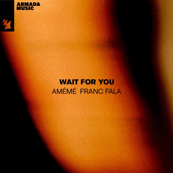Wait for You - Single