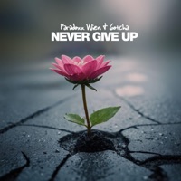 Never Give Up - Single - Paradoxx Wien & Gotcha Beats