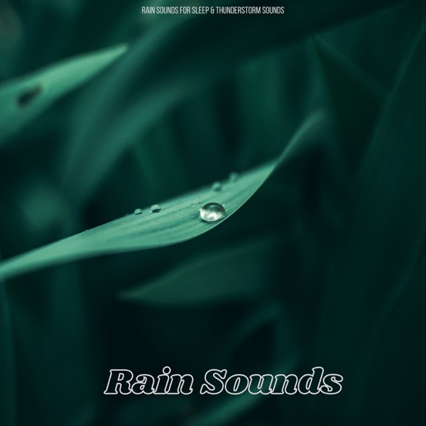 Rain Sounds