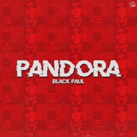 Pandora - Single - Black paul