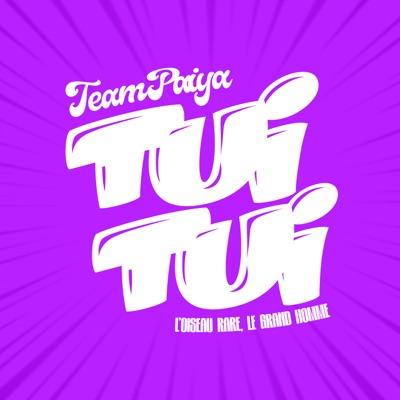 Song - Tui Tui (feat. Grand Homme & L'Oiseau Rare) - Team Paiya