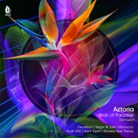 Birds of Paradise (Discretion Remix) - Single - Aztoria