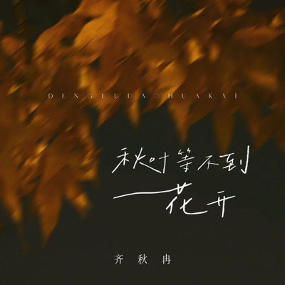 秋叶等不到花开 - Single