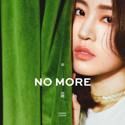 No More - Single