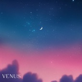 Venus artwork