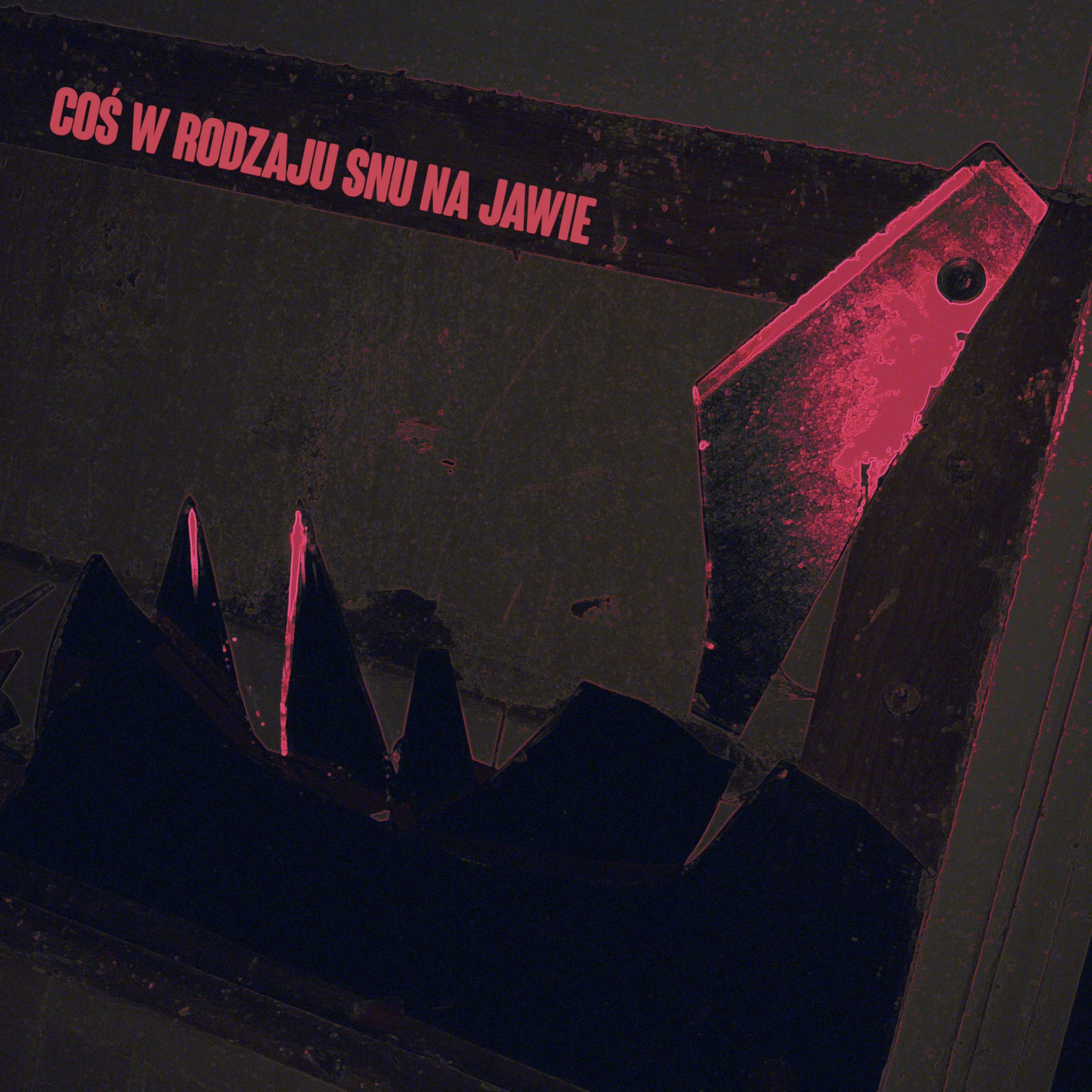 Coś w rodzaju snu na jawie - Single