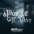 PORQUE TE VAS