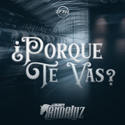 ¿Porque Te Vas? - Single