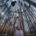 Black Cosmic Circle