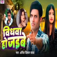 Vidhwa Ho Jaibe - Single - Anil Dilwar Yadav