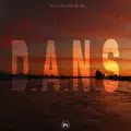 D.A.N.S