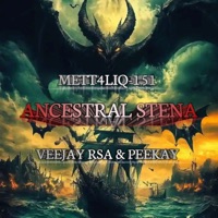 Ancestral Stena (feat. VEEJAY RSA & Peekay) - Single - METT4LIQ-151