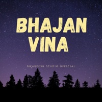 BHAJAN VINA - Single - Dwarkesh Studio