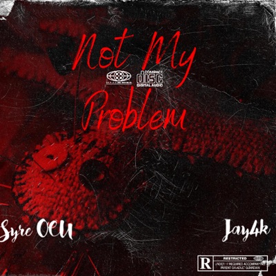 Not My Problem (feat. Jay4k) - Single