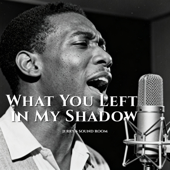 What You Left in My Shadow